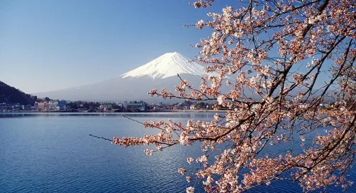 Electric Heat Pumps Bring Eco-Friendly Efficiency tree water landscape cherry lake sky snow park nature branch winter outdoors mountain travel season flower scenic dawn city